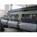  hexagonal wire netting 3