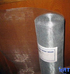 Galvanized Wire Mesh