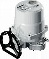 Quarter-Turn Electric Valve Actuator