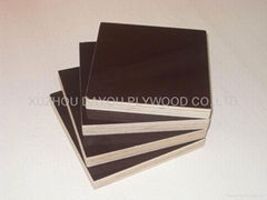 Supply Film Faced Plywood 
