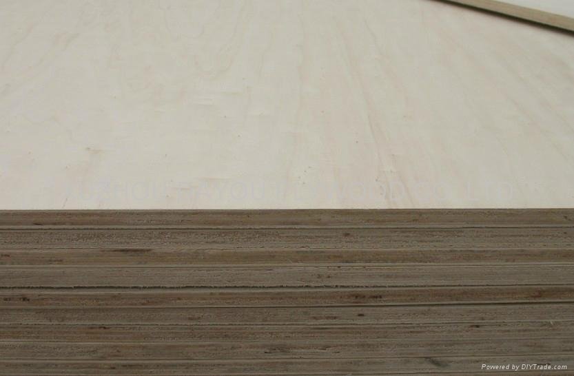 FSC birch plywood 