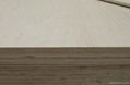 FSC birch plywood  1