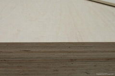 FSC birch plywood