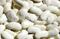 White Kidney Bean Extract