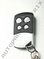 car/auto alarm system  2