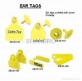 Animal Identification Ear tags  3