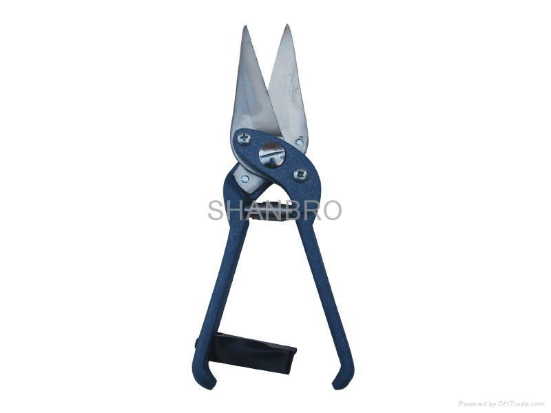 Sheep shears Foot Rot shears 2