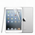 Screen Protector for iPad2/3/mini