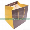 Paper Shopping Bags 2