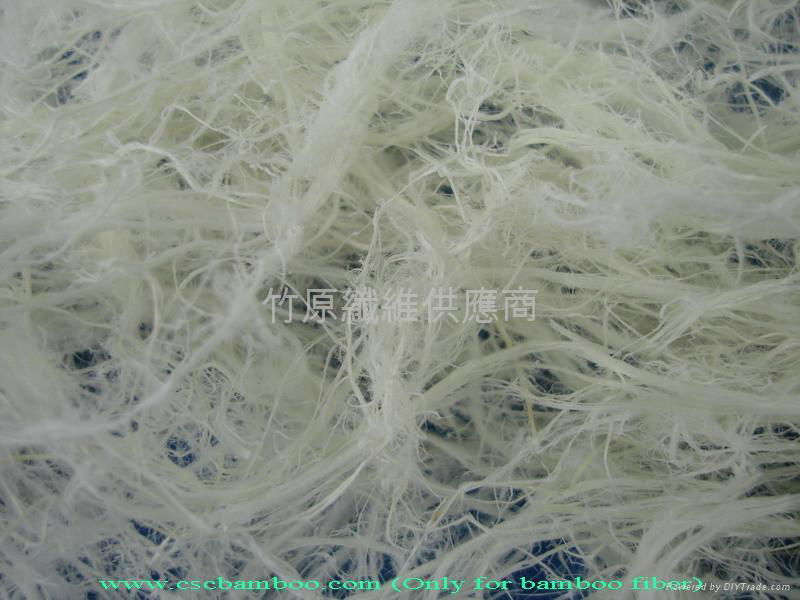 竹原纤维长纤纺织原料 4