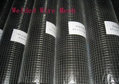 Welded Wire Mesh