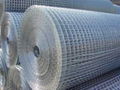 Galvanized welded wire mesh 1