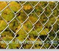 Chain Link Fence 2