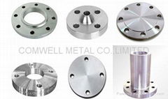 FLANGE