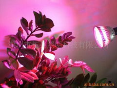 LED植物生长灯小功率 
