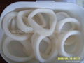 Frozen Squid Ring 1