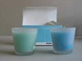 glass soy candle 1