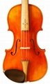 Professional Violin 4
