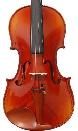 Beginner / Student Viola 2