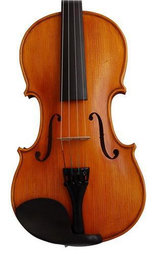 Beginner / Student Viola 4