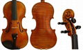 Professional Viola 1