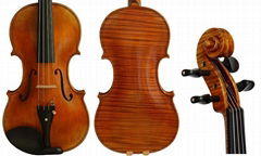 Professional Viola