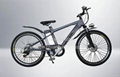 Electric Bicycle