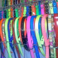 dog collar 1