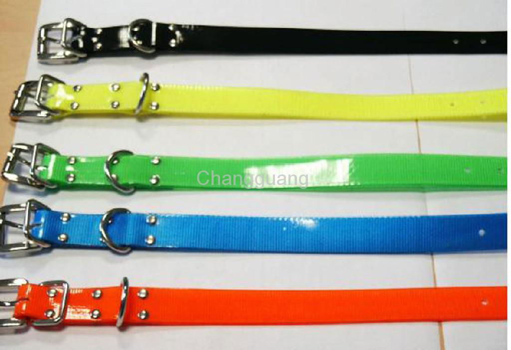 dog collar 2