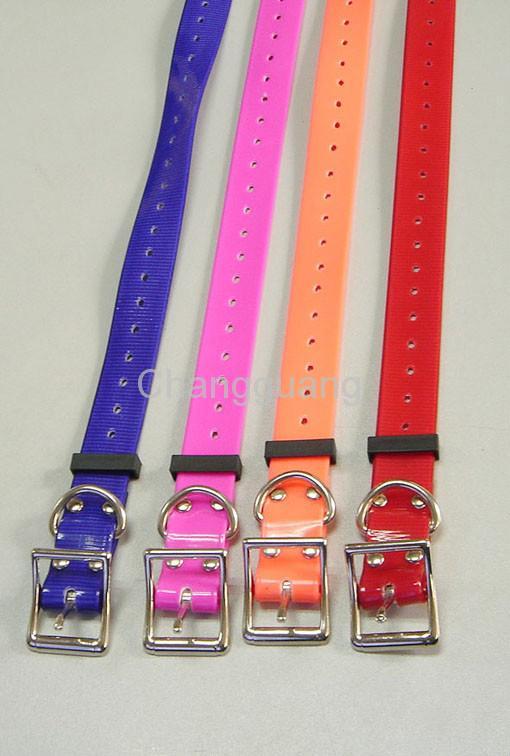 dog collar 3