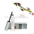 FEG eyelash enhancer with the lowest price  5