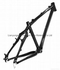 carbon mtb frame