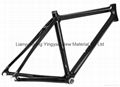 carbon road frame