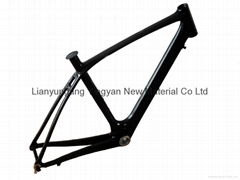 2011 new carbon frame