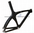 carbon TT frame