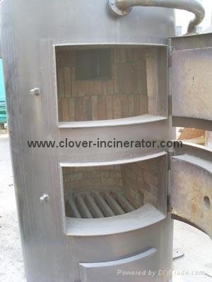 China Clinical Waste Incineration