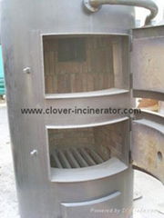 China Clinical Waste Incineration