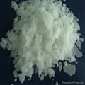  Caustic Soda  1