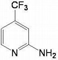 CAS: 106447-97-6 2-Amino-4-trifluoromethyl pyridine