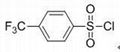 對三氟甲基苯磺酰氯