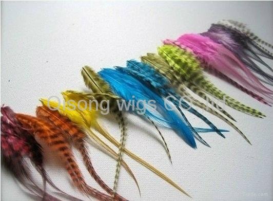 2011 fashion Natural Feathers Hair Extension feather extensions