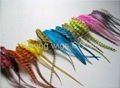 2011 fashion Natural Feathers Hair Extension feather extensions 1