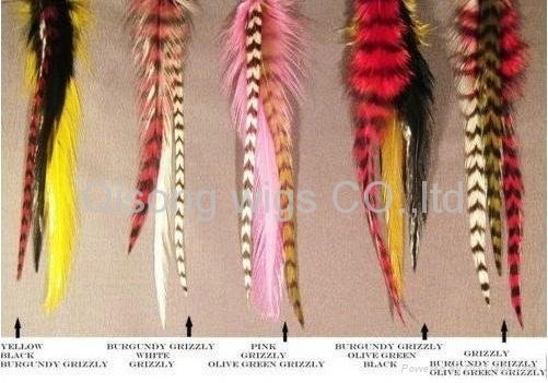 2011 fashion Natural Feathers Hair Extension feather extensions 2