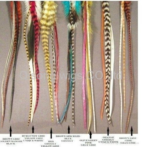 2011 fashion Natural Feathers Hair Extension feather extensions 4