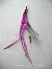 New arrive Real Natural Feathers Hair Extension feather extensions 3
