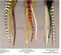 Grizzly Roster feather hair extensions feather extensions QSLH1006 3