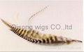 Grizzly Roster feather hair extensions feather extensions QSLH1006 5