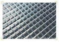 Welded  wire mesh