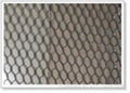 Wall Plaster Mesh