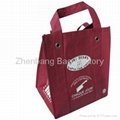 China Eco-Friendly Non-woven Shopping Bags Manufacturer